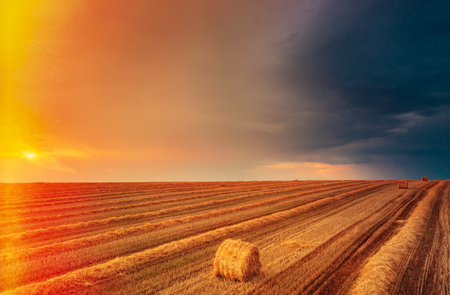 Summer Field Meadow With Hay Bales Under Sunset Sunlight. Bright Sky And cut straw on Ground. Sun Over Rural Countryside Field At Dawn Or Sunrise Background,の写真素材