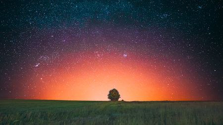 Amazing Bold Bright Morning Sunrise Evening Sunset Sky Above Lonely Tree In Meadow. Glowing Stars And Wood In Summer Countryside Landscape. Gradient Sky Background. Highlight. Soft Colorsの写真素材