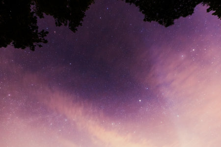 Lavender Colors Of Starry Sky. Amazing Bold Night Stars In Violet Night Starry Sky Background. Glowing Stars. Unusual Abstract Toned Skyの写真素材