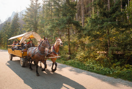 Tatra National Park, Poland. Man In National Traditional Polish Folk Ethnic Costumes Ride A Cart Harnessed By A Pair Of Horses Along A Mountain Roadのeditorial素材