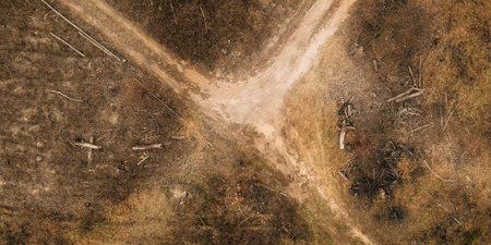 Forest Deforestation Area Landscape. Concept Of Save Nature. Uncontrolled Deforestation Concept....