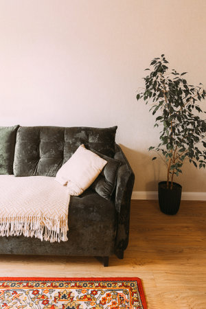 Modern Bright Living Room In Scandinavian Stylish. Family Apartment with Bright Red Carpet On Floor...
