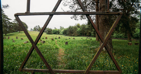 David star on door entrance to jewish grave, Old ancient Jewish cemetery in summer spring day....