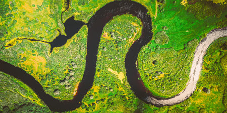 Aerial View Green Forest Woods And River Landscape In Sunny Spring Summer Day. Top View Of Beautiful...