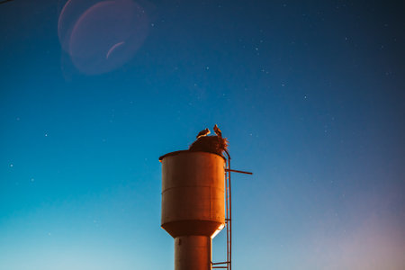 Storks Sit On A Water Tower. Night Clear Sky. Starry Sky At Night. Night Romance Concept. Family, Relationships. Two Adult European White Storks - Ciconia Ciconia Sit On A Water Tower. Belarusian Natureの写真素材