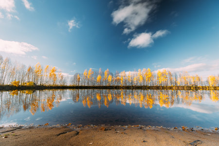 Autumn Forest woods lake. Amazing Landscape Woodland. wide angel, tranquil Autumn River Landscape At...