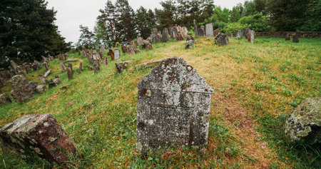 Old ancient Jewish cemetery in summer spring day. green grass anの写真素材
