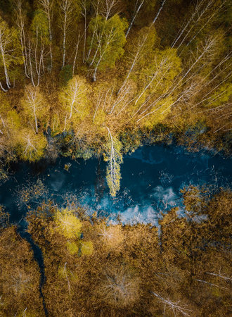 Spring Season. Aerial View. Young Birches Grow Among Small Marsh Bog Swamp. Deciduous Trees With...