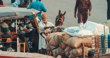 Jaipur, Rajasthan, India. Horse-drawn Cart Loaded With Goods. Auto Rickshaw Or Tuk-tuk Wait For Passengers. Every Day Life Of India. Cargo Cart. Hard Laborのeditorial素材