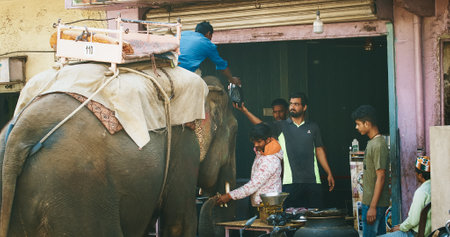 Amer, Rajasthan, India. An elephant driver visit street cafe shop.のeditorial素材