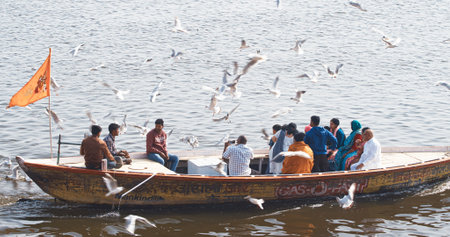 Varanasi, Uttar Pradesh, India. Tourists pilgrims floating on the Ganga riverbank. Tourists boats floating and feeding seagulls on the Ganges River. Many gulls birds flying follow boats.のeditorial素材