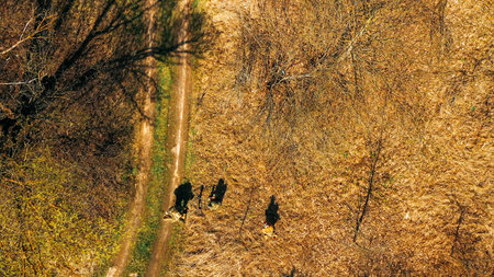 Men Dressed As US American Soldiers Of USA Infantry Of World War II sneaking around In spring Autumn...