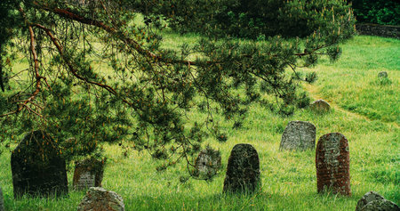 Old ancient Jewish cemetery in summer spring day. green grass an
