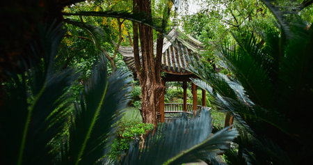 Chengdu, Sichuan, China. Garden Area Of Wuhou Memorial Temple. Palm Leaves Close-up View. Elegant...