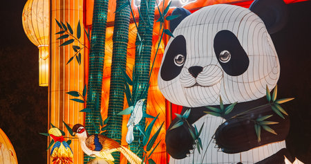 Beijing, China. Zigong Lantern Festival In Beijing. Amazing Glowing Lanterns In Form Of Panda. Lantern Festival In Beijing Garden Expo Park. Giant Panda Also Panda Bear Or Simply, Is Bear Species Endemic To China. Panda Diplomacy. Travel To China. National Symbol Of China, Personifying Sincerity, Friendliness, Tolerance And Kindnessの写真素材