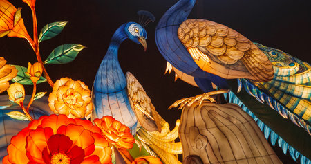 Beijing, China. Zigong Lantern Festival In Beijing. Amazing Glowing Lanterns In Form Of Peacocks. Lantern Festival In Beijing Garden Expo Park. National Intangible Cultural Heritage Of China. Peacock Is Symbol Of Beauty And Nobility. In Chinese Culture, Peacocks Symbolize Good Luck, Prosperity, And Happiness. Travel To Chinaの写真素材