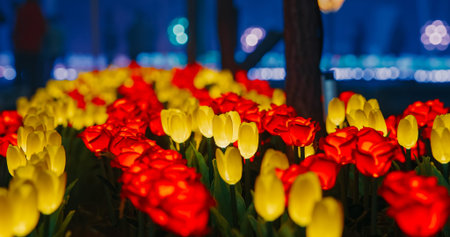 Beijing, China. Zigong Lantern Festival In Beijing. Amazing Glowing Lanterns In Form Of Lighting...