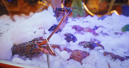 Lobsters and seafood displayed on ice in vibrant settingの写真素材