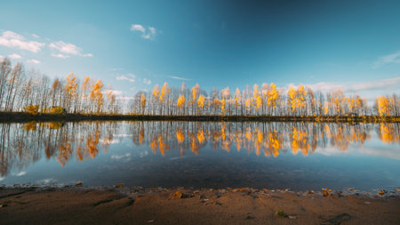 Autumn Forest woods lake coast. Landscape Woodland Slider , . reflection on water surface wide...