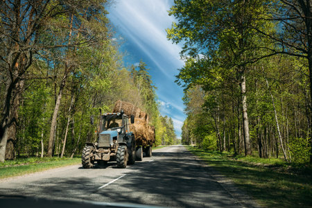 Tractor Is Carrying Hay On Cart. Tractor On Country Road Through Forest In Europe. Asphalt Road Against Background Of Eastern European Landscape. Agricultural Conceptの写真素材