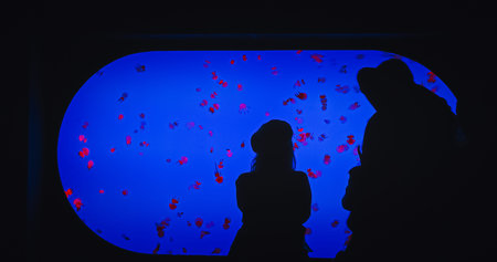 People Examining And Photographing Swimming Jellyfish In Ocean Aquarium. Diverse Underwater World....