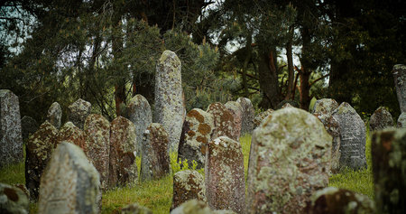 Old ancient Jewish cemetery in summer spring day. green grass and many ancient stones. Headstone Headstones Tombstones jewish grave