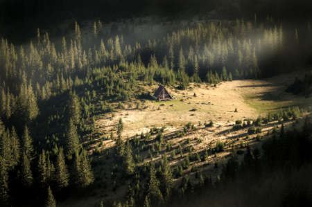 Refuge in mistの写真素材