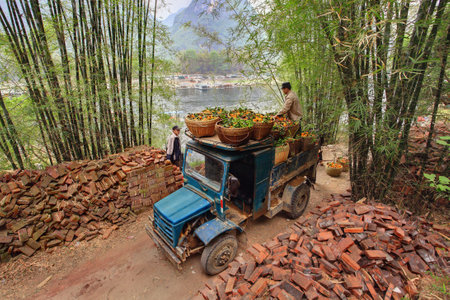 YANGSHUO, GUANGXI, CHINA - MARCH 29:  Carriage of orange crop in South-West China, March 29, 2010. Old-time blue lorry carrying a wicker basket with oranges, to the river, for further an overload the boat.のeditorial素材