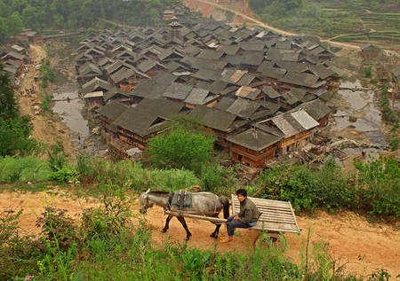  GUIZHOU PROVINCE, CHINA - APRIL 12, 2010  Spring in the Chinese village of ethnic minorities, April 12, 2010   Zengchong village, asian peasant, farmer, sits in a cart driven by a horse  Decaying wooden structures in the farming village in the mountains のeditorial素材