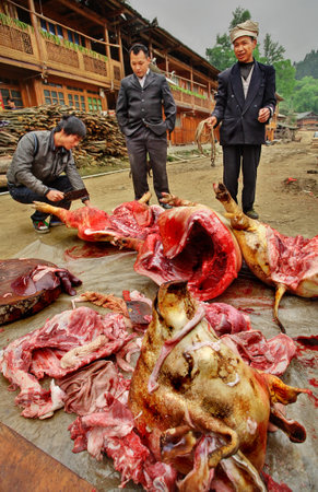 Zengchong village, Guizhou, China - April 12, 2010: Cutting pigs in rural China, Asian peasants, farmers are treated pork, April 12, 2010. Pig head and chipped pork carcass lying on a rural road in the Chinese countryside. Zengchong village.のeditorial素材