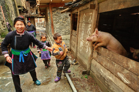 Zengchong village, Guizhou, China - April 13, 2010: The family of Chinese peasants with kids, pass past the pigsty, April 13, 2010. Asian peasant farming, pig farming, animal husbandry, rural south-west China.のeditorial素材