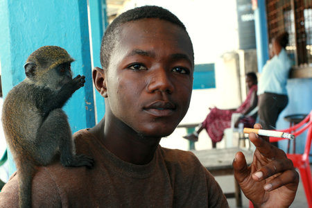 Zanzibar, Tanzania - February 16, 2008: Young African man 25 years old, smoking at an outdoor cafe, holding a cigarette, tame baby green monkey sitting on his shoulder, February 16, 2008. A black man with a trained monkey on his shoulder.のeditorial素材