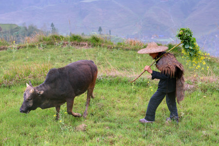 Yao Village Dazhai, Longsheng, Guangxi Province, China - April 3, 2010: Chinese peasant shepherd wearing cloak an animal skin, rural China. のeditorial素材