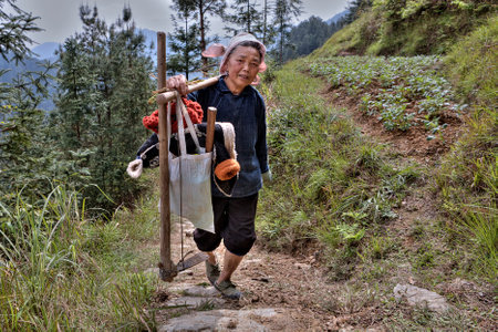 Langde Village, Guizhou, China - April 15, 2010: An elderly woman farmer returns from field work, she carries hand-hoe farm tools and a bag of belongings on a yoke.のeditorial素材