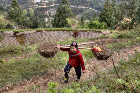 Langde Village, Guizhou, China - April 15, 2010: Asian  peasant farmer woman carrying a yoke, Chinese agricultural farm worker carries yoke loaded.のeditorial素材