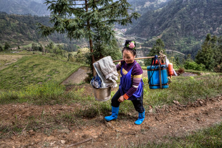 Langde Village, Guizhou, China - April 15, 2010: Chinese woman farmer with a yoke on his shoulder, carries a bucket and a farm field equipment for spraying plants.のeditorial素材