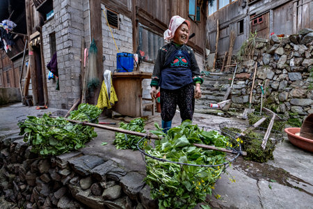 Langde Village, Guizhou, China - April 16, 2010: Langde Miao Nationality Village, Chinese woman peasant farmer Miao people, stands in the courtyard of the farmhouse in the mountains, and laughs.のeditorial素材