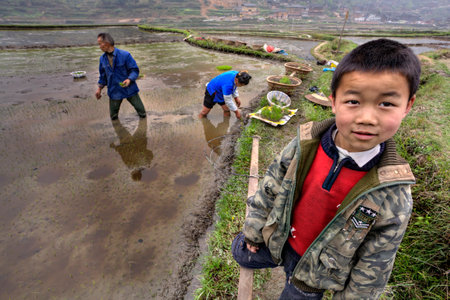 Guizhou, China - april 18, 2010: Boy 8 years old, wearing camouflage jacket with inscription army stands against backdrop of rural landscape with rice terraces and farmers engaged in planting rice.のeditorial素材