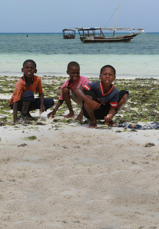 Zanzibar, Tanzania - February 19, 2008: Three young men of African teenagers collect marine animals in the surf zone, after low tide.のeditorial素材