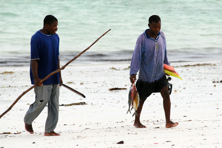 Zanzibar, Tanzania - February 18, 2008: Two African fisherman divers carry home caught fish.のeditorial素材