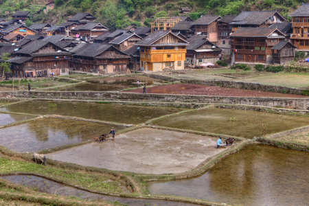 Zhaoxing Dong Village, Guizhou Province, China -  April 8, 2010:  Spring field work of Chinese farmers from the mountain village.のeditorial素材