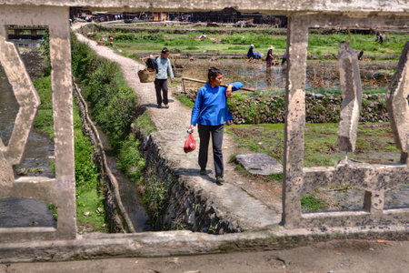 Zhaoxing Dong Village, Guizhou Province, China -  April 8, 2010: Asian woman with a load on his shoulders, go on field work along the path, paved with stone.のeditorial素材