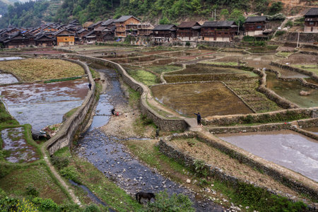 Zhaoxing Dong Village, Guizhou Province, China -  April 9, 2010: Chinese peasants poured water rice fields near the village of Dong ethnic minority.のeditorial素材