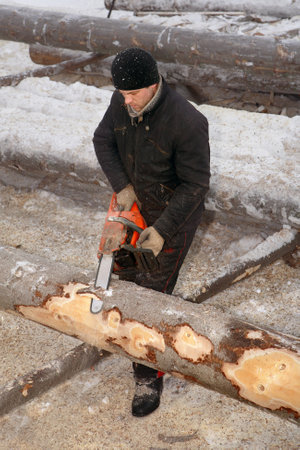 Leningrad Region, Russia - February 2, 2010: Logger use chainsaw for cutting log.のeditorial素材