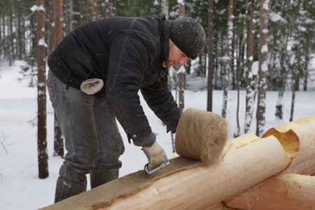 Leningrad Region, Russia - February 2, 2010: Placing insulation on the log, jute insulation tape is placed between each log to eliminate any possible drafts.のeditorial素材
