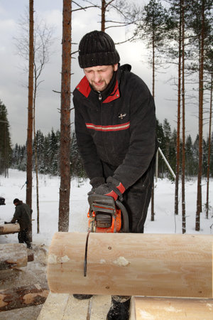 Leningrad Region, Russia - February 2, 2010: Builder  trims a log with a chainsaw, the sawdust flying.のeditorial素材