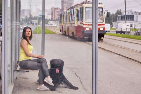 Caucasian lady and black briard waits for tram at the daytime.の写真素材