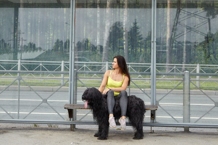 Young woman is sitting on the tram station with her legs on the back of black long-haired briard while waiting for a public transport.の写真素材