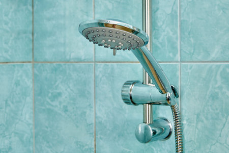 Flat shower head with flexible hose is installed in wall holder.