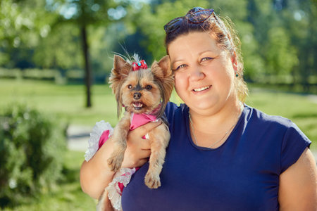 Yorkshire Terrier dog in arms of fat mature woman.の写真素材